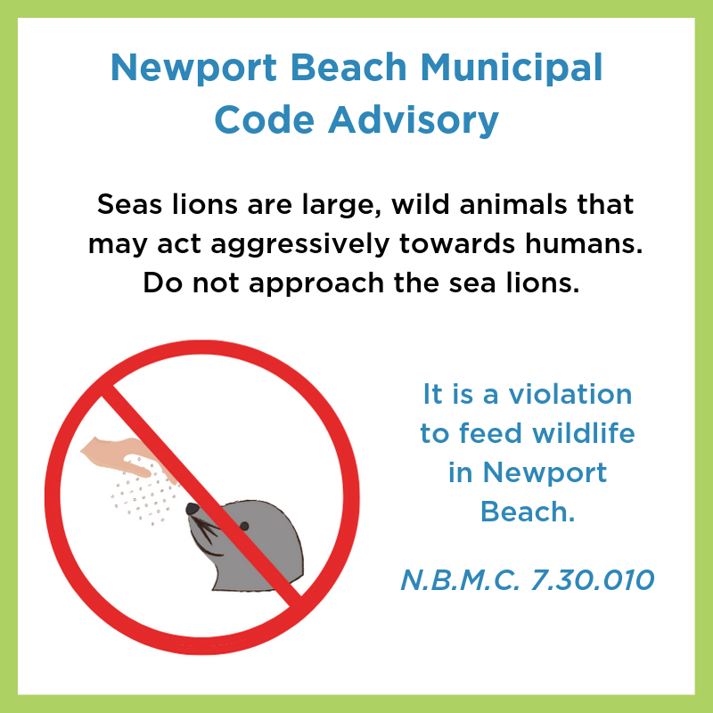 Newport Beach Municipal Code Advisory