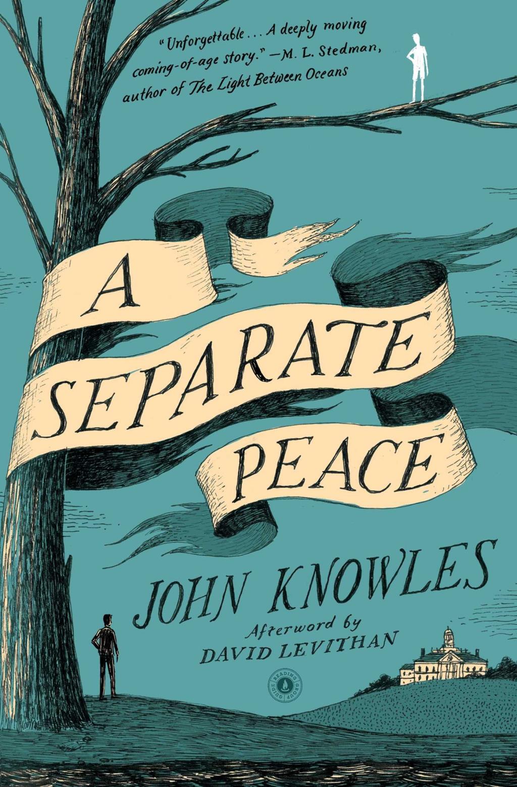 a separate peace book cover