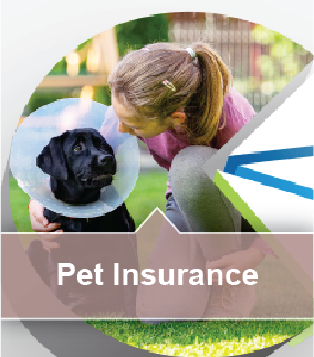 Pet Insurance