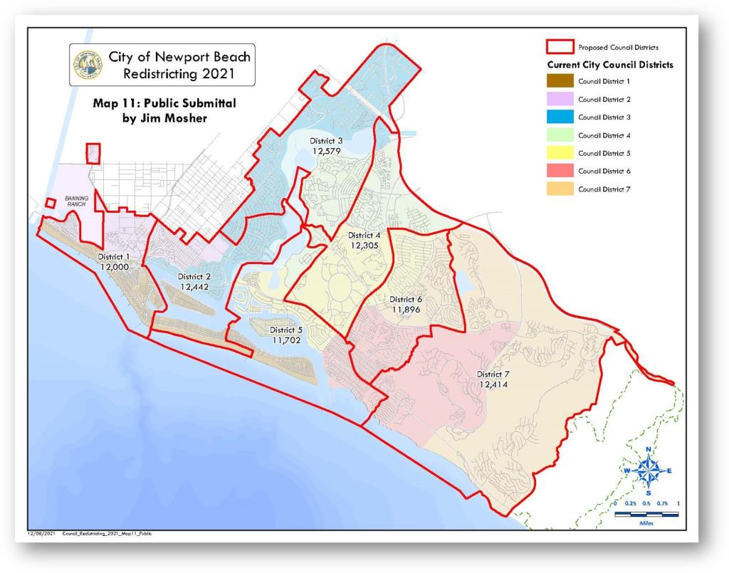 Council_Redistricting_2021_Map11_Public_Page_1