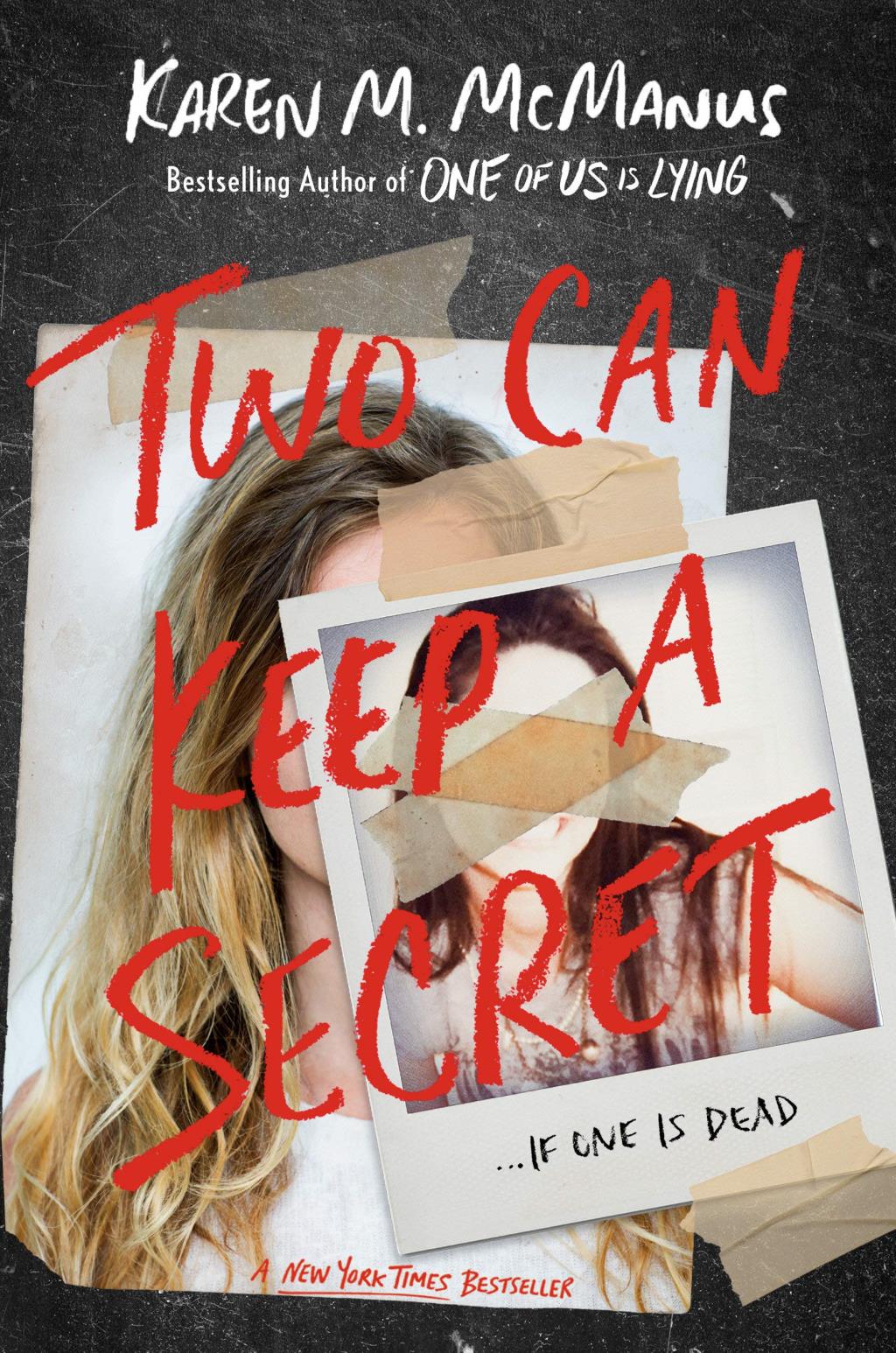 two can keep a secret book cover