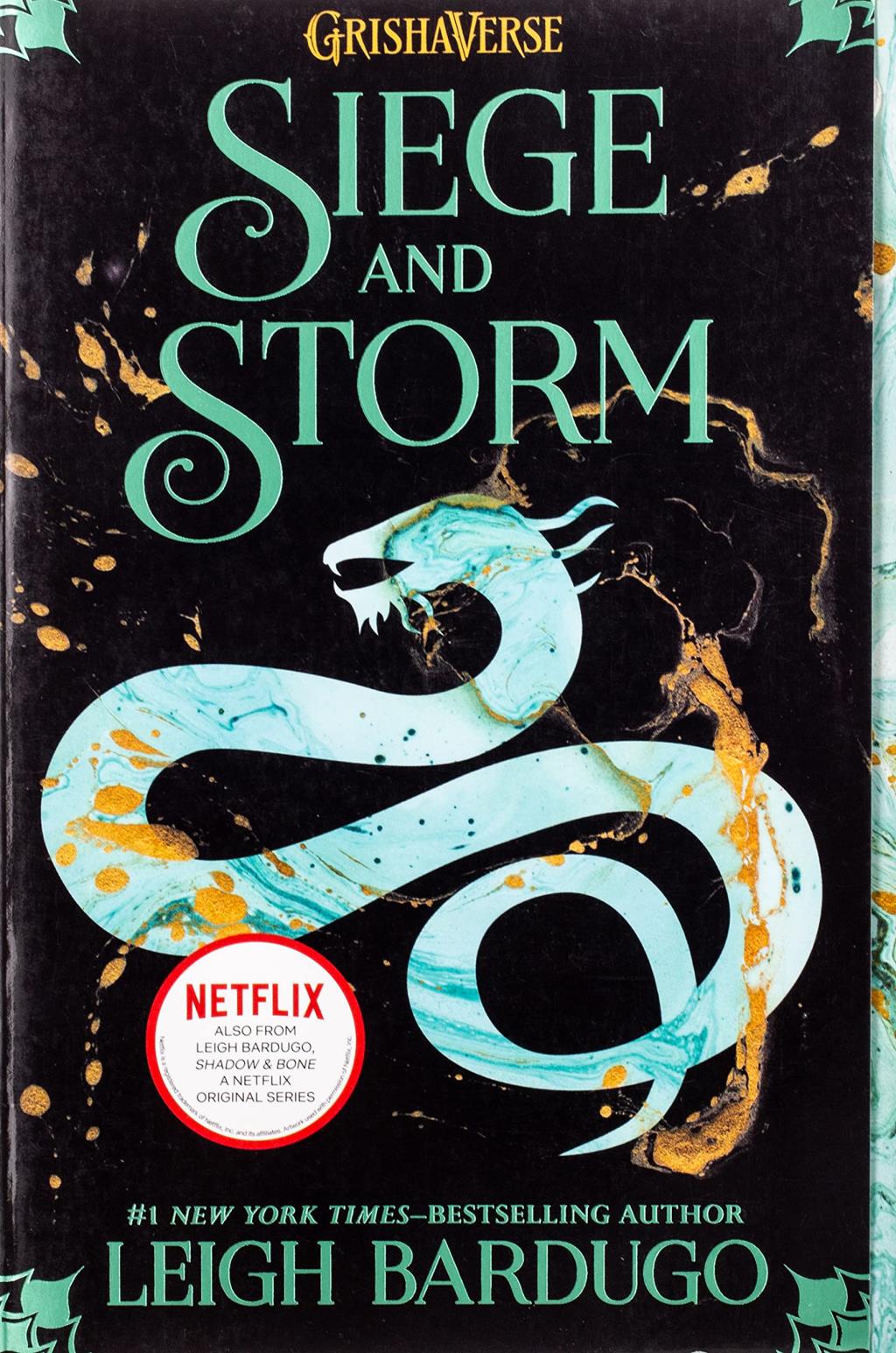 seige and storm book cover