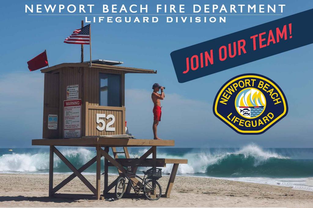 Are Dogs Allowed At Newport Beach