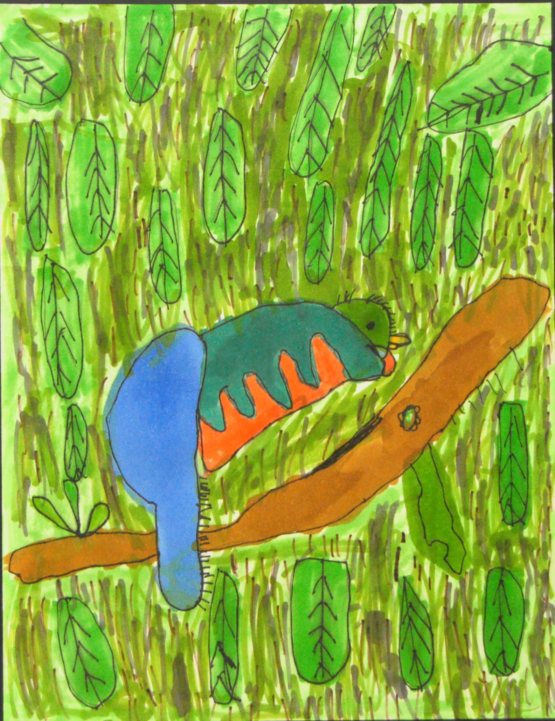 Ryan - My Bird in the Rainforest