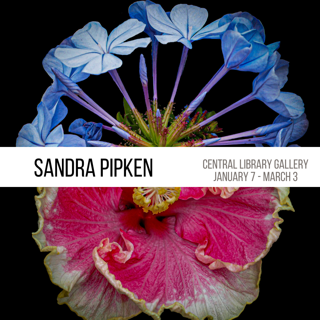 Sandra Pipken - Art at the Library