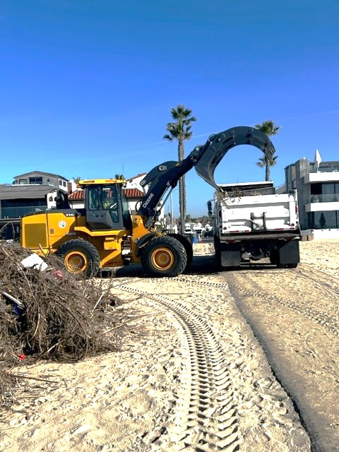 Beach grapple