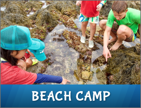 Beach Camps