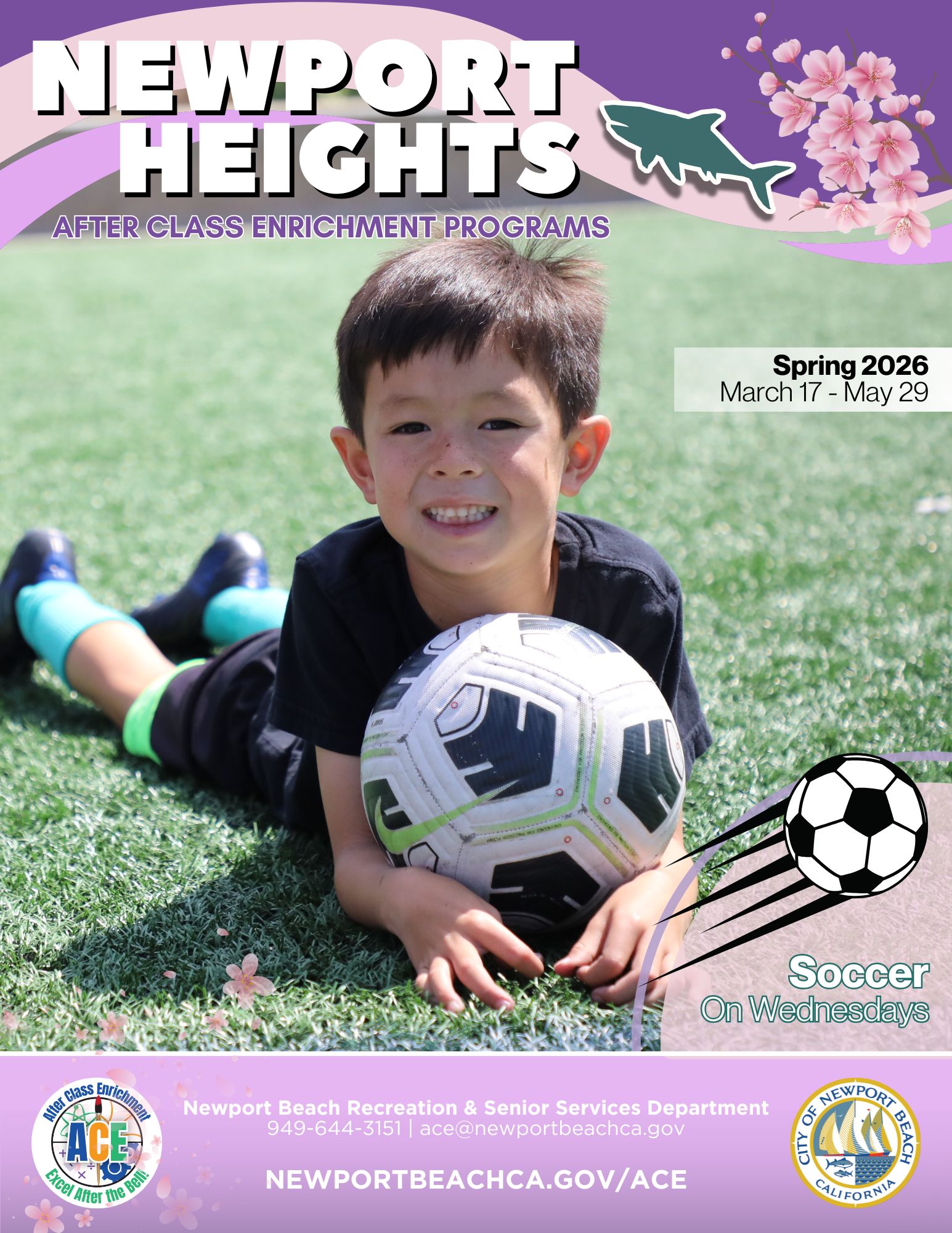 ACE SPRING Brochures 2024 (3)